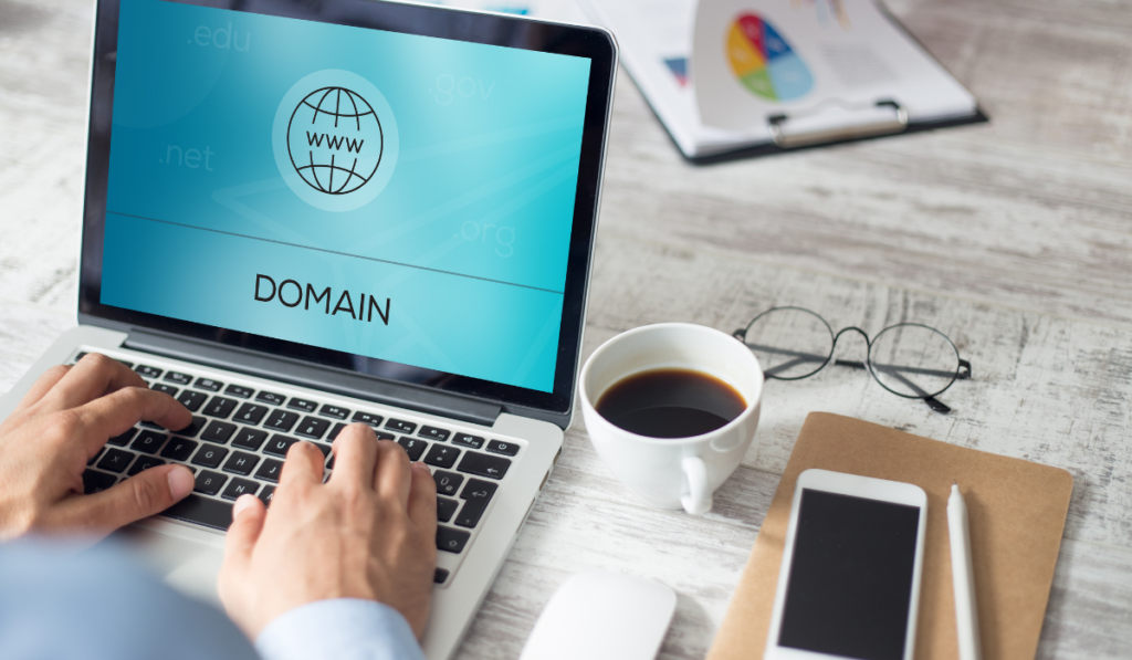 How to check Domain Rating