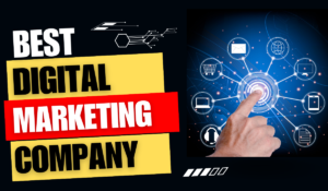 Digital Marketing Company in Chandigarh