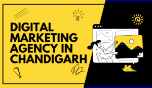 Digital Marketing Agency in Chandigarh