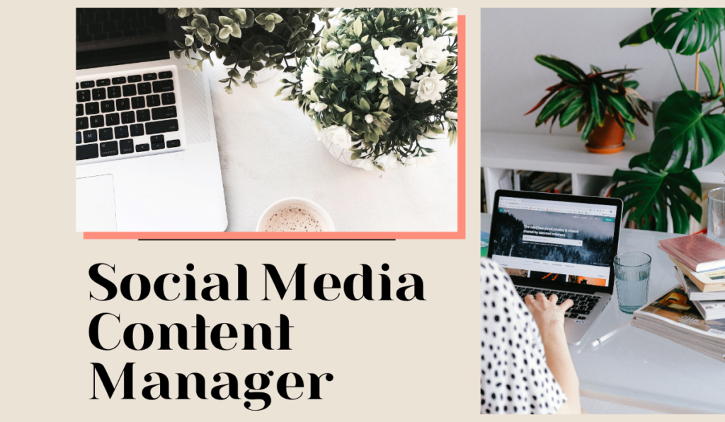 Social media content manager