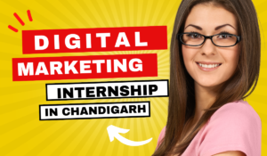 Digital Marketing Internships in Chandigarh