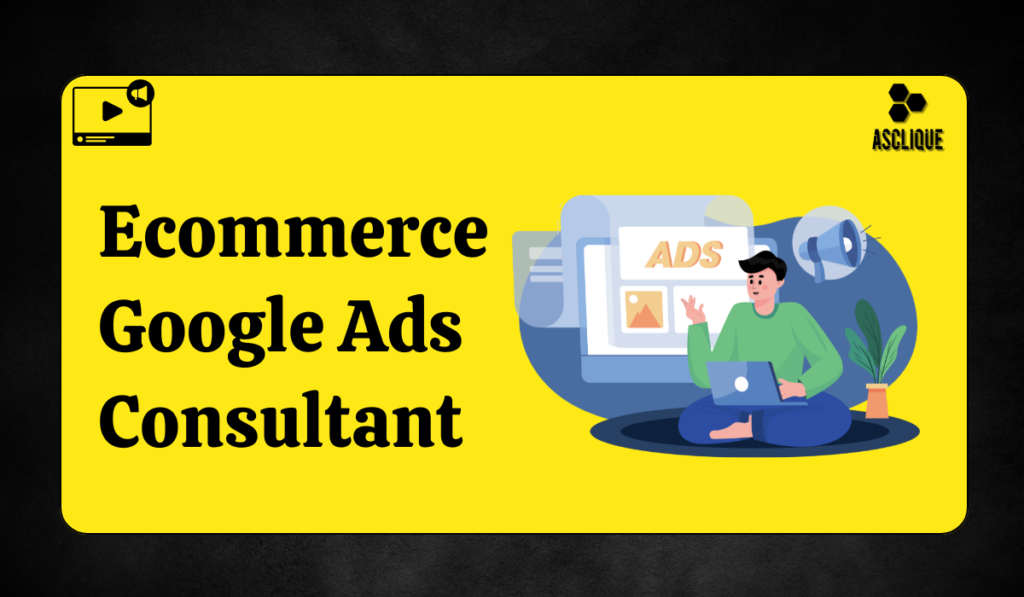 ecommerce google ads consultant