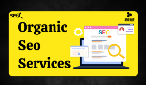 Transform Your Website’s Performance with Organic SEO Services